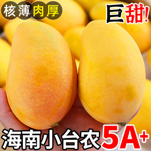 正宗海南小台农芒芒果10斤新鲜当季水果热带芒果现摘特产整箱包邮