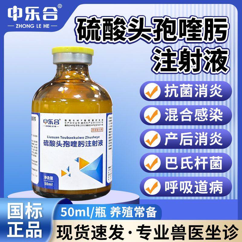 兽用硫酸头孢喹肟注射液混感肺炎猫狗猪牛羊猪保健抗菌产后消炎药