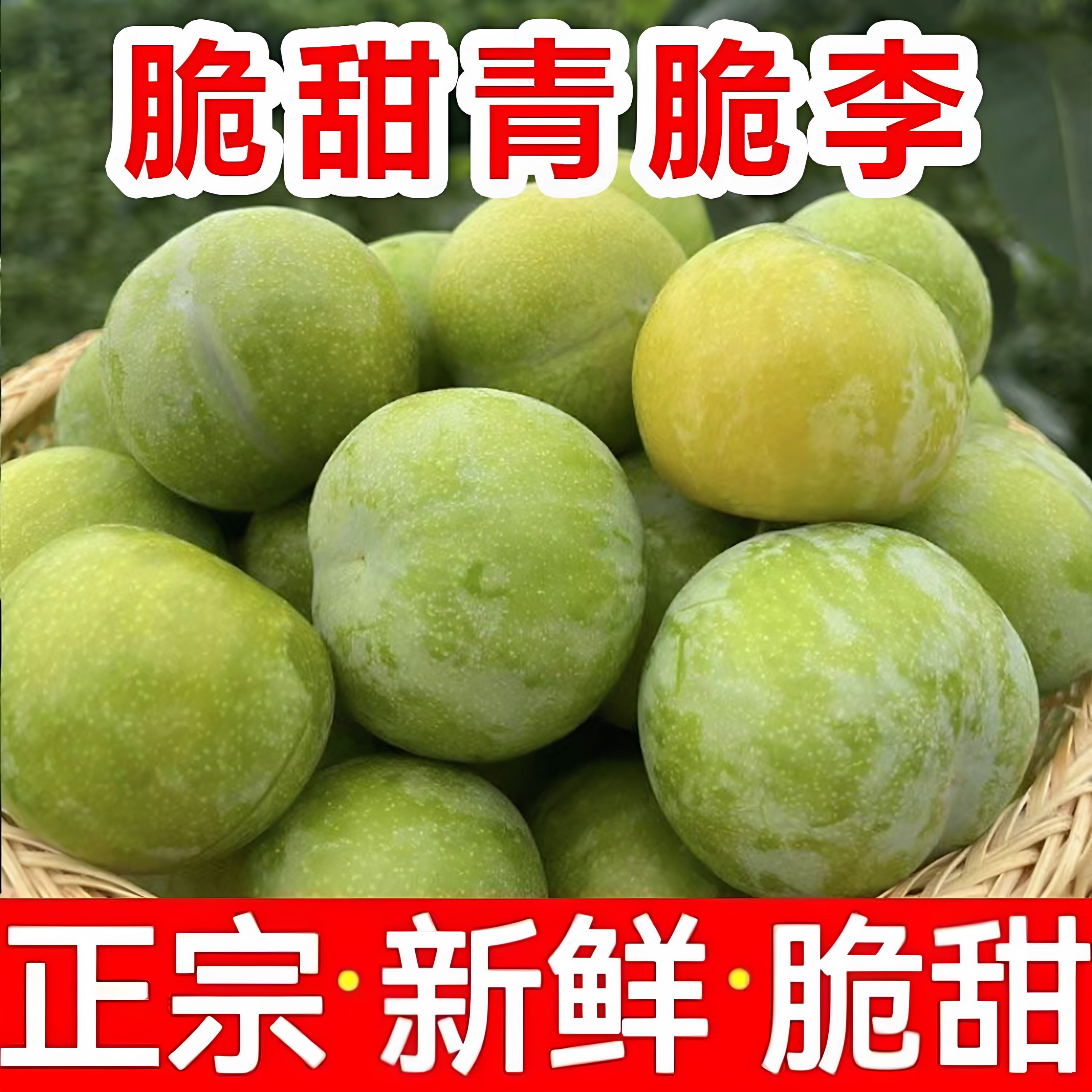 新鲜李子青脆五月李子应当季新鲜水果孕妇酸脆青李子包邮