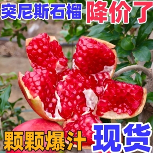 突尼斯石榴新鲜水果当季 整箱批发价