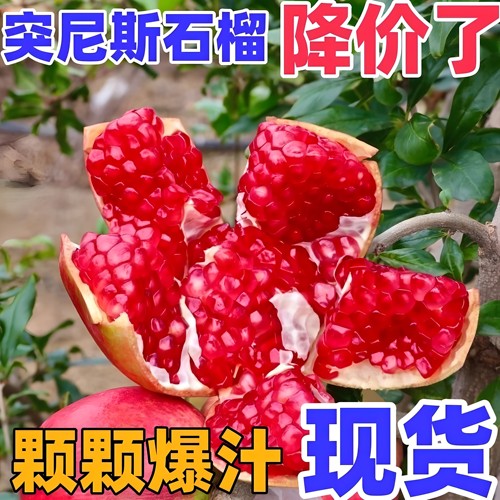 突尼斯石榴新鲜水果当季整箱批发价