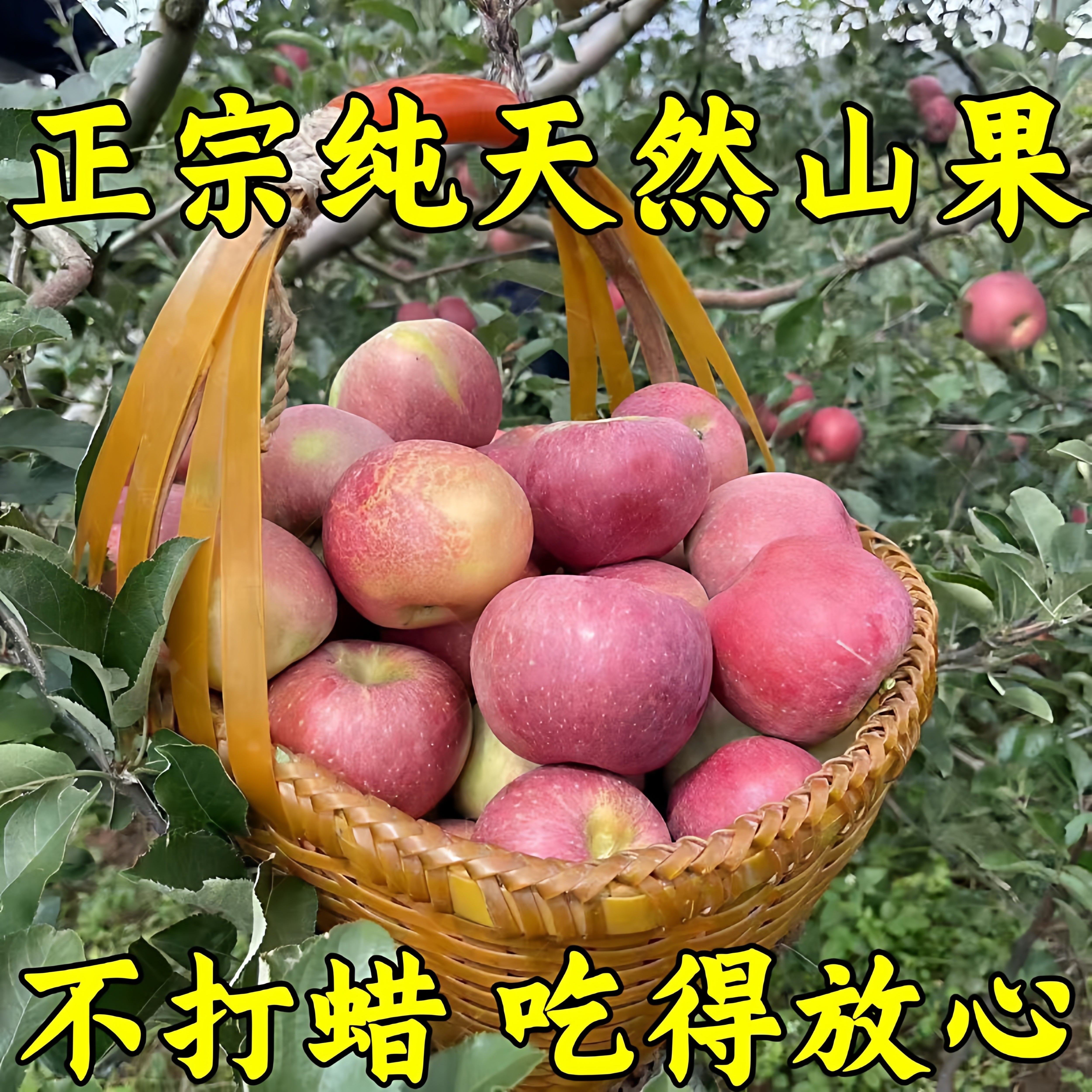 正宗陕西洛川红富士苹果新鲜水果脆甜多汁冰糖心