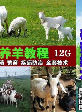 养羊养牛视频技术教程农村家畜养殖教学羊饲料羊病羊毛自学习