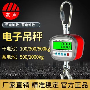 友声100kg200kg500公斤1t 吨吊秤小型电子吊钩秤吊磅挂钩秤行车秤