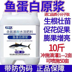 酶解鱼蛋白原浆水溶肥料氨基酸叶面肥冲施肥生根剂果树草蓝莓通用