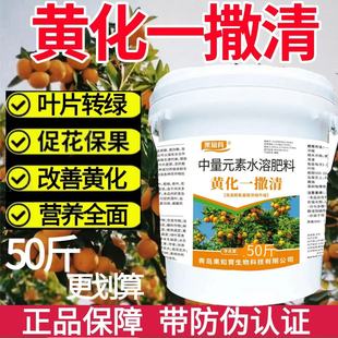 正品黄化一撒清改善柑橘黄化转绿叶强健树势补充营养颗粒肥果树用