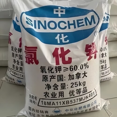 加拿大进口红氯化钾农用肥料钾肥
