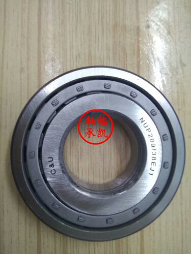 NUP209/38EJ1