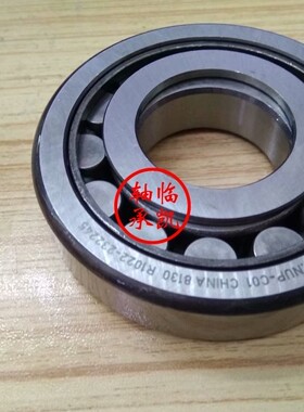 F-612300.05.NUP-C01 汽车轴承