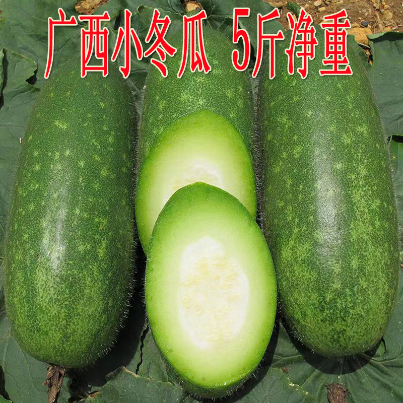 广西小冬瓜新鲜应季时令蔬菜瓜果