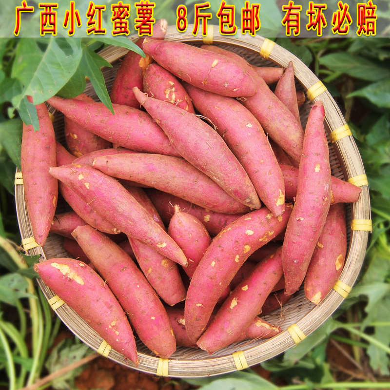 广西新鲜现挖红心板栗薯