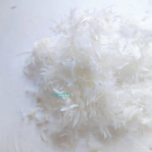 散装羽毛特细小羽毛羽绒枕沙发靠垫坐垫填充物高温杀菌干净白鹅毛
