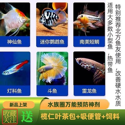 榄仁叶浓缩精华原液调节水质降酸小型热带鱼龙鱼虾泰国斗鱼懒人叶