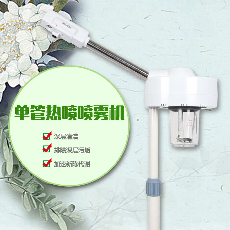 泰东直销热喷蒸脸器补水仪单管香薰离子美容喷雾机