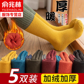 儿童长筒袜子冬季 加绒加厚女童男童宝宝保暖毛圈高筒小腿袜秋冬款