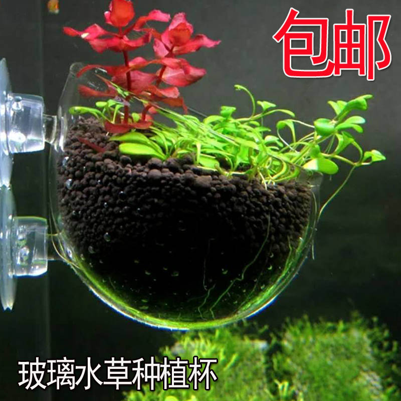 玻璃水草杯鱼缸水族箱饲育造景盆缸内型水草种植杯玻璃水草造景盆