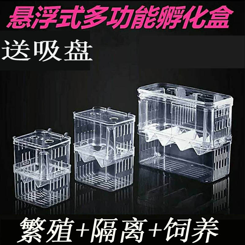鱼缸鱼苗孵化盒隔离盒other/其他