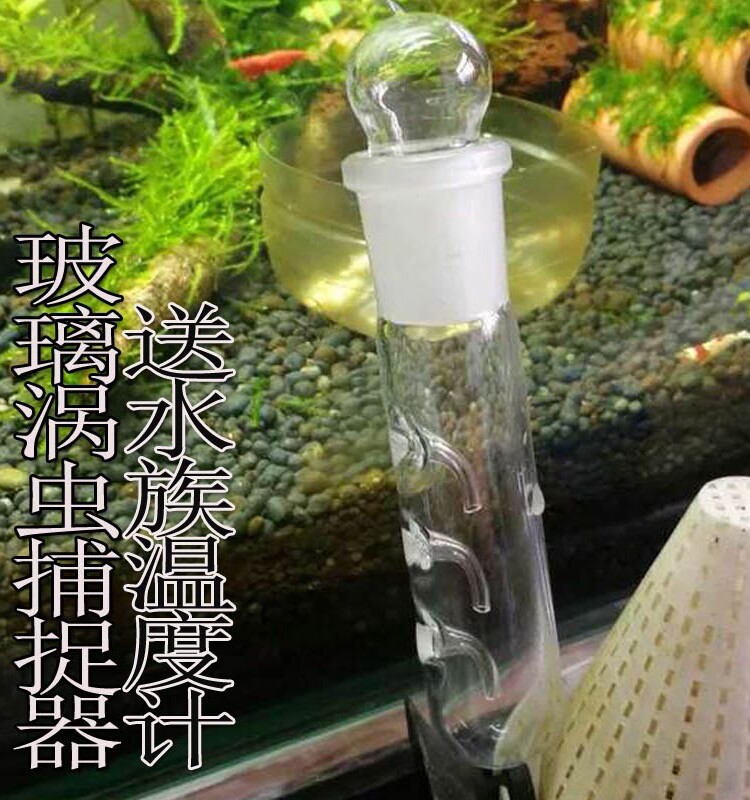 涡虫诱捕器草缸玻璃蜗虫捕捉器水族箱鱼缸涡虫笔吸水蛭蚂蝗捕蜗虫
