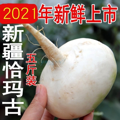 2022年恰玛古新鲜上市新疆柯坪县恰玛古芜菁蔓菁食品蔬菜5斤包邮