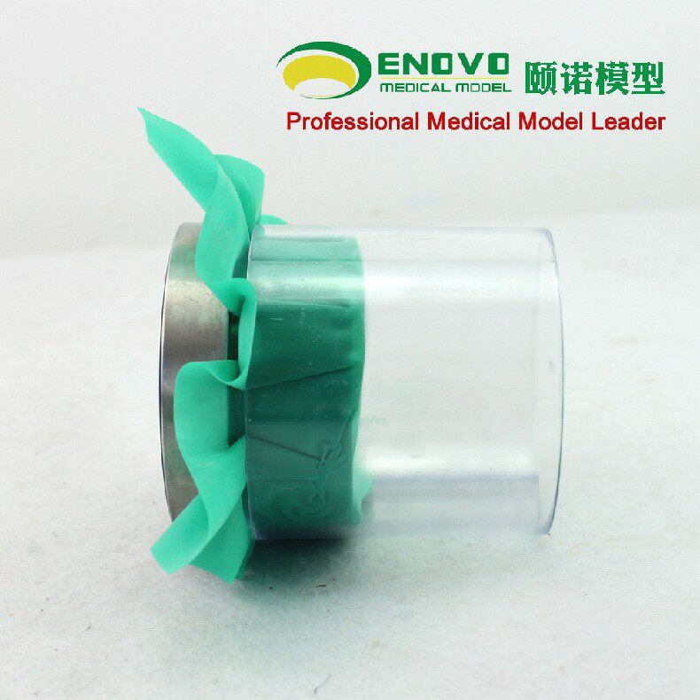 ENOVO颐诺执业考试口腔缝合技能