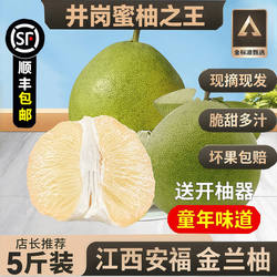 【顺丰包邮】安福蚕子新鲜水果江西特产吉安金兰柚井冈蜜柚土柚子