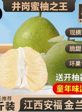 正宗安福蚕子江西特产井岗蜜柚吉安金兰柚白心柚子脆甜多汁金沙柚