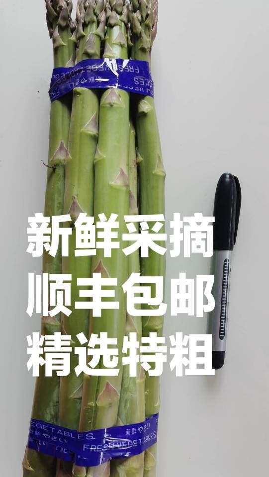 崇明精选特粗芦笋3斤 特级精品 新鲜采摘 去白根 江浙沪包邮