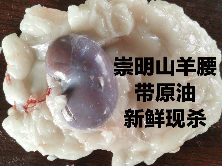 崇明羊羊腰1只食材 羊腰子原油 新鲜 真油包腰子