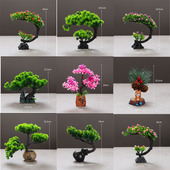 日式 饰花草 围边菜品特色松树冷菜盘意境摆件酒店花刺身特色摆盘装