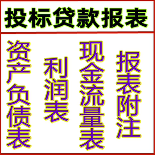 编制代做公司招投标资料年度报表清算文件包邮