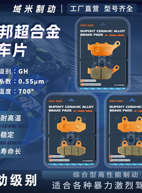 赛科龙RX3S RX401 23-17款 SR400GY-2/-2C 前后刹车片碟刹皮配件