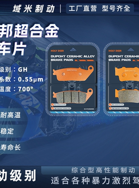 适用雅马哈Force155 Force2.0 18-22款 踏板摩托车 刹车片碟刹皮