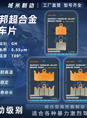 贝纳利幼狮Leoncino800 公路版/越野版/Trail版 前后刹车片皮配件