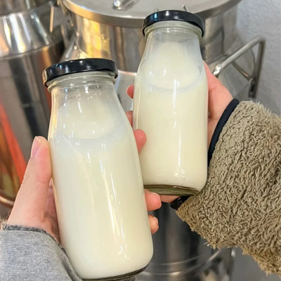 饮料玻璃瓶圆形铁盖冷饮瓶250ml