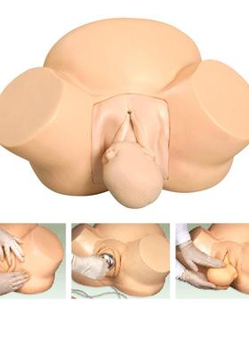 医信MDCD高级助产训练模型女性分娩示教模型骨盆模型婴儿模型