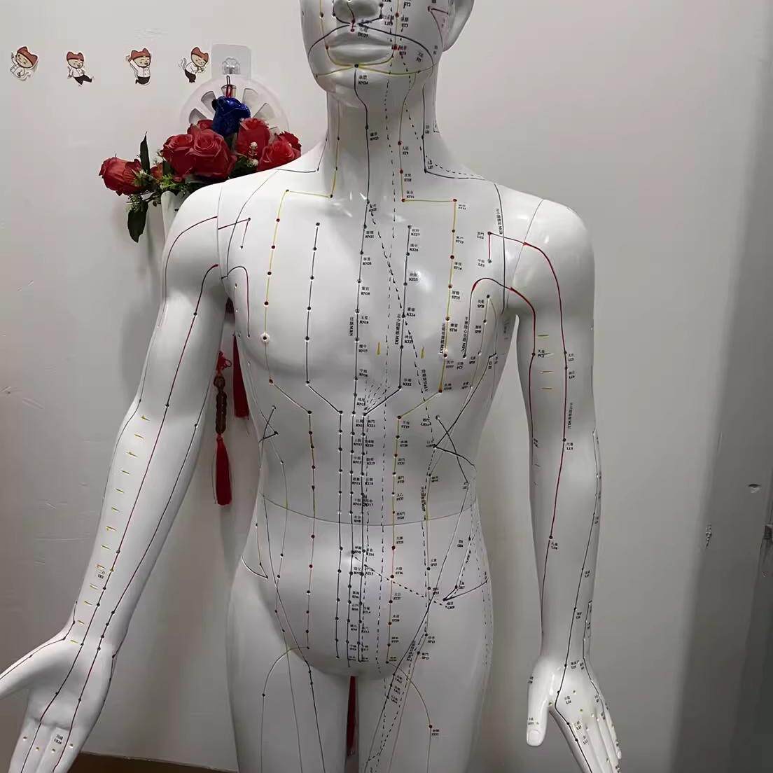 170CM人体针灸穴位模型针灸铜模型经络穴位模型盲人针灸