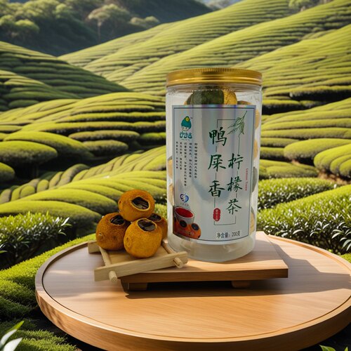 柠待遇鸭屎香柠檬茶柠檬风味茶凤凰单纵乌龙茶 200g安岳特产送礼
