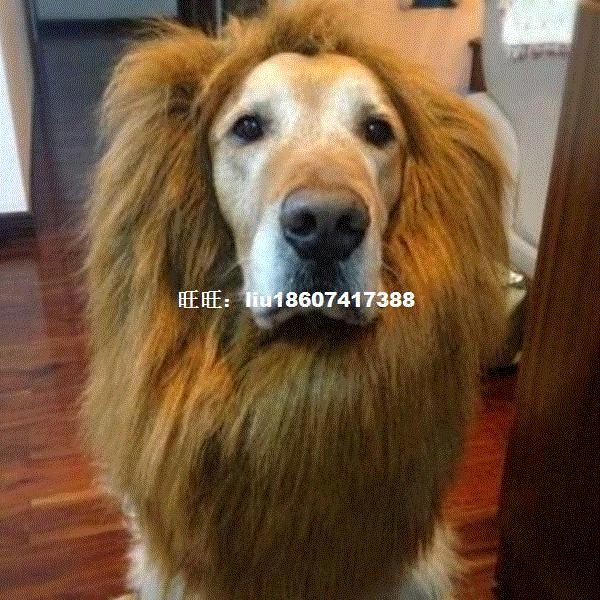 Pet Fashion Series supplies Dog accessories Large Dog wigs c在类目 模玩/动漫/周边/cos/桌游, 专业航模/车船模/军模/无人机, 其他模型中 - 来自Buy2taobao.com提供专业的淘宝代购服务