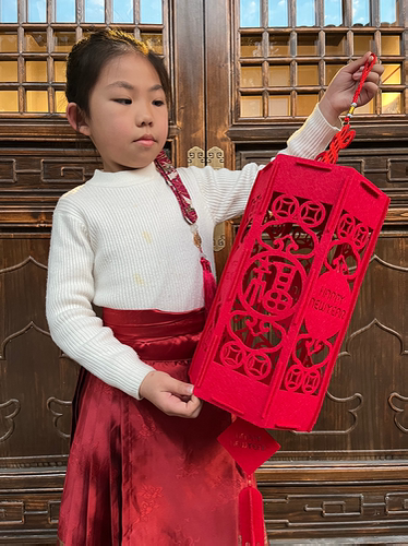 商场店铺红灯笼兔年福字