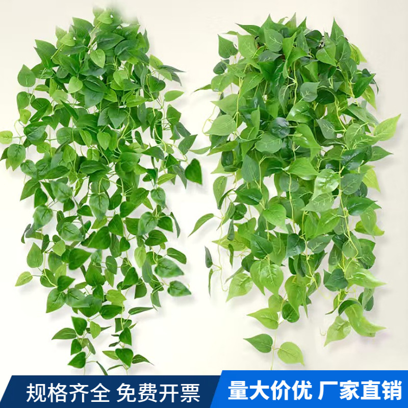 仿真植物假花藤条绿叶吊兰室内壁挂装饰挂墙垂吊办公文化仿真园艺