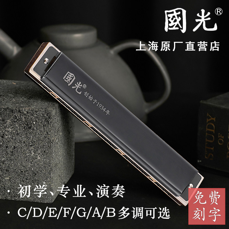 正品国光口琴24孔复音C调#A/B/D/E/F/G/升/降专业演奏级大全套装