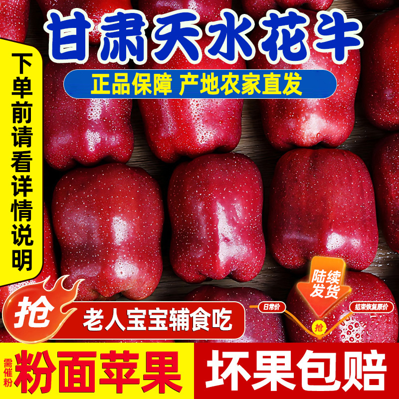 正宗甘肃天水花牛苹果小孩老人面粉脆沙甜蛇红新鲜水果粉面果现摘