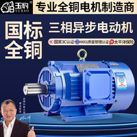 全銅三相異步電動機(jī)11/15/18.5/22/30/37/45千瓦55KW國標(biāo)380V電機(jī)