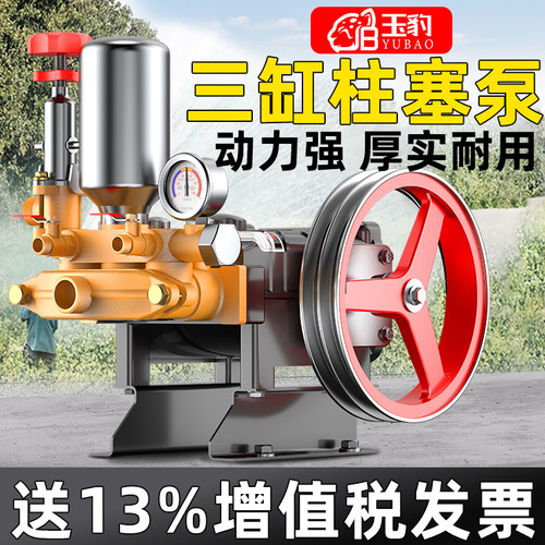 三缸柱塞泵打药机喷雾器高压农用园林果树小型家用电动喷洒农药泵