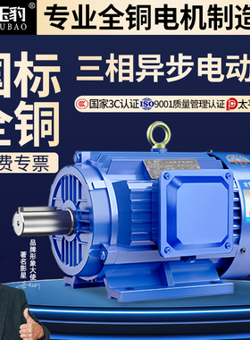 全铜三相异步电动机11/15/18.5/22/30/37/45千瓦55KW国标380V电机