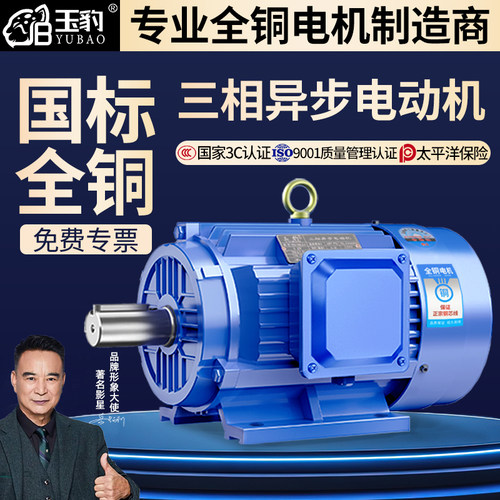 全铜三相异步电动机11/15/18.5/22/30/37/45千瓦55KW国标380V电机