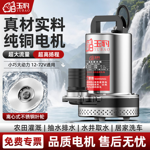 12-72V高扬程大流量直流潜水泵