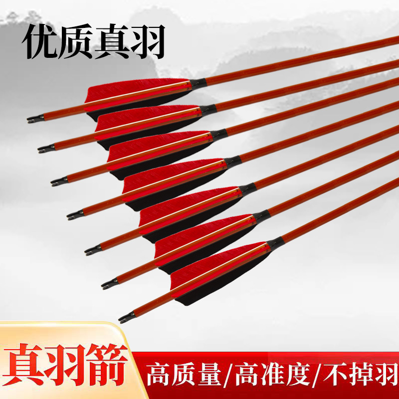弓箭练习箭射箭玻纤碳素混碳箭支