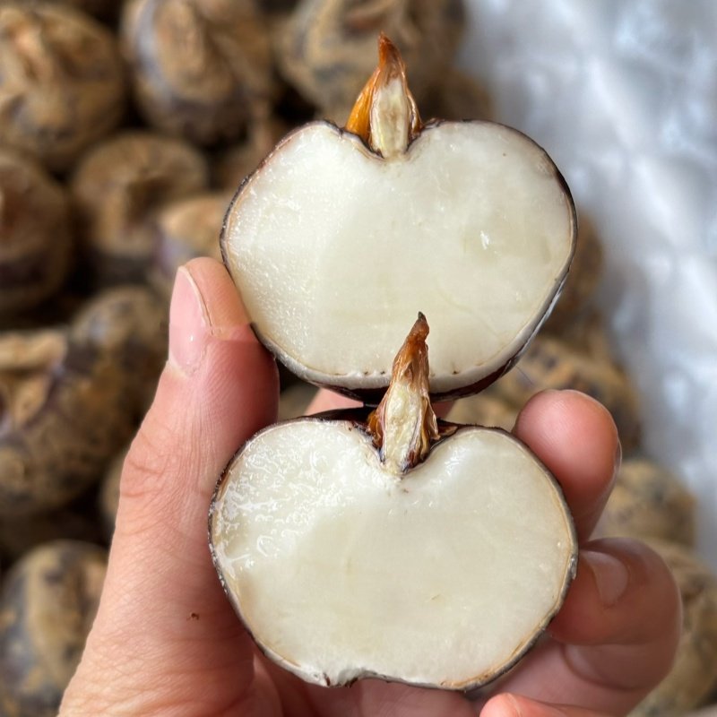 新鲜现挖脆甜马蹄荸荠去火下火