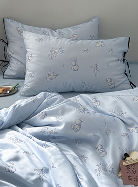 春夏裸睡100支兰精天丝凉感床单四件套冰丝莱赛尔被套床上用品